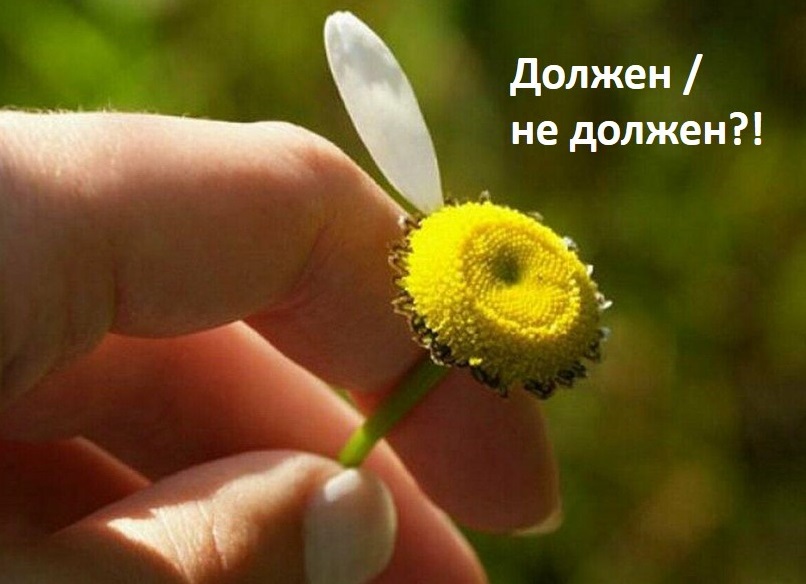 Муниципалитет заплатит за нанимателя долг в четверть миллиона. Дело А07-27781/2021