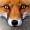 Элина Fox
